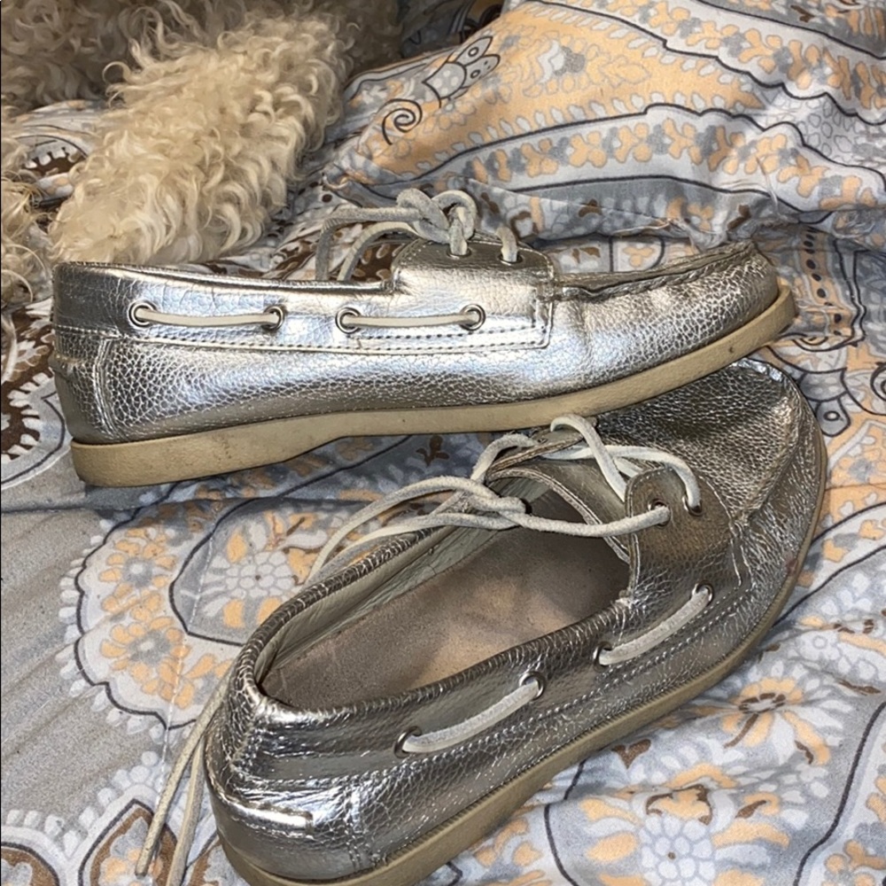 Silver Flats - image 1